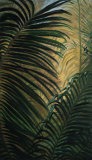 Light through the Palm Fronds Posters by Mary Spears