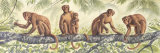Monkey Time II Posters