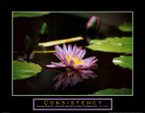 Jerry Angelica - Consistency: Pond Flower Umělecké plakáty