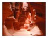 Warmth Photographic Print by Harley Lever