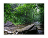 Looking Glass Creek Photographic Print by Carmen Cordelia