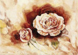 Rose Shadow I Kunstdrucke von Karin Valk