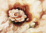 Rose Shadow II Posters par Karin Valk