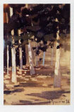 Bosque II Posters av Jesus Barranco Bosque II Posters av Jesus Barranco