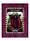 Eggplant Seed Pack Giclee Print