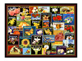 Vintage Flower Seed Packs Lámina giclée por Kate Ward Thacker