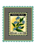 Forget Me Not Flower Giclee Print