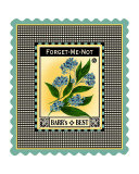 Forget Me Not Flower Reproduction procédé giclée