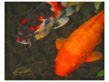Green Rock Japanese Koi II Giclee Print by erichan 