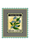 Forget Me Not Flower Giclee Print