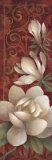 Magnolia Melody I Art by Elaine Vollherbst-Lane