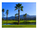 Arnold Palmer Golf Course in PGA West Giclée-Druck von Vivian Allsopp