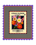 Strawflower Seed Pack Giclee Print