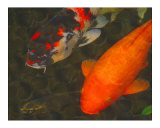 Green Rock Japanese Koi II Lámina giclée por erichan