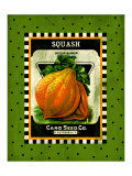 Squash Seed Pack Giclee Print