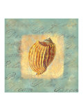 Spa Sea Shell I Giclee Print
