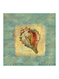 Spa Sea Shell III Giclee Print