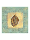Spa Sea Shell II Giclee Print
