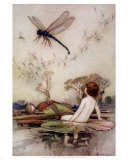 Dragonfly アート - ワーウィック・ゴーブル