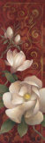 Magnolia Melody II Posters by Elaine Vollherbst-Lane Magnolia Melody II Posters by Elaine Vollherbst-Lane