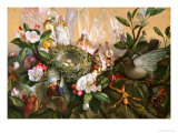 Fairies Round a Bird's Nest, the Distressed Mother Reproduction procédé giclée par John Anster Fitzgerald