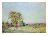 A Summer's Day Giclee Print by Alfred Sisley A Summer's Day Giclee Print by Alfred Sisley