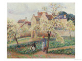Plum Trees in Blossom Giclee Print by Camille Pissarro