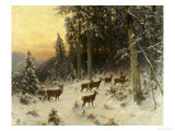 Deer in Winter Wooded Landscape Giclee Print by Arthur Julius Thiele