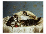 Kittens up to Mischief reproduction procédé giclée par Horatio Henry Couldery