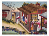 Silk Cocoons, from Silk Cocoons, from