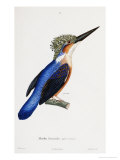Cyrille Pierre Theodore Laplace Posters at AllPosters. Cyrille Pierre Theodore Laplace Posters at AllPosters.