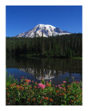 Mt. Rainier's Garden Photographic Print by Harley Lever