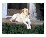Duke Bradley Photographic Print by Dana Garrett Dotherow