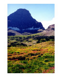 Logan's Pass- Glacier National Park, Montana Photographic Print by Nancy Suzanne Mueller