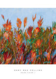 Color Fields II Affiches par Gary Max Collins