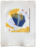 Pleins et Delies Limited Edition by Bernard Alligand