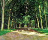 Wegkreuzung im Park Signiert Collectable Print by Andreas Scholz