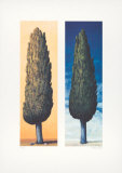 2 Zypressen Rechts, 1999 Limited Edition by Folkert Rasch