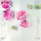 Blumen Auf Plexiglas Rose Sérigraphie par Annelies Buergin