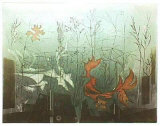Etonnements du Dinosaure Limited Edition by Renee Lubarow