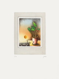 Plante Verte Limited Edition by Moshe Malka