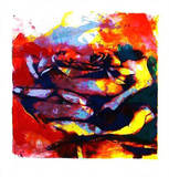 Rose Berlin, 2002 Limitierte Auflage von Paul De Vries