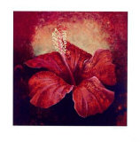 Hibiskus Limited Edition by Folkert Rasch