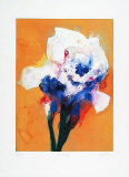 Lilie II, 2001 Limited Edition by Hans Richter