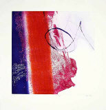 Paradigm Limited Edition by Heidi Koenig