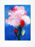Lilie III, 2001 Limited Edition by Hans Richter