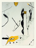 Noir Blanc Gris Jaune II Spesialversjon av Francois Bruetschy Noir Blanc Gris Jaune II Spesialversjon av Francois Bruetschy