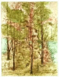Foret Limited Edition by Raynaud 
