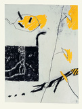 Noir Blanc Gris Jaune I Spesialversjon av Francois Bruetschy Noir Blanc Gris Jaune I Spesialversjon av Francois Bruetschy