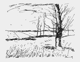 Vallee de Lavre Collectable Print by Maurice De Vlaminck